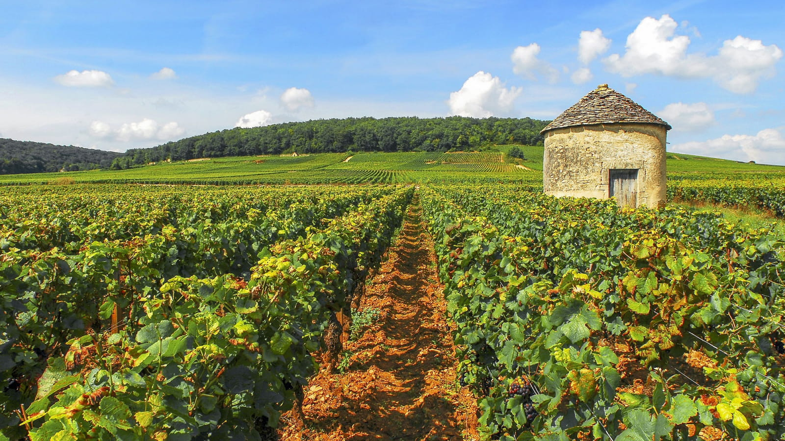 La Cave à Vin's